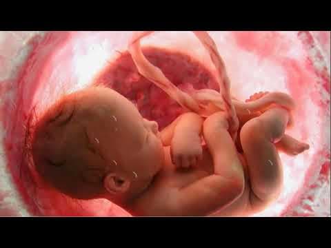 Pregnancy music for unborn baby- brain development -water sound