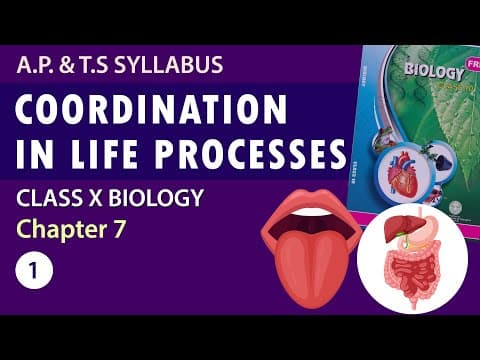 coordination in life processes in Telugu - Part-1