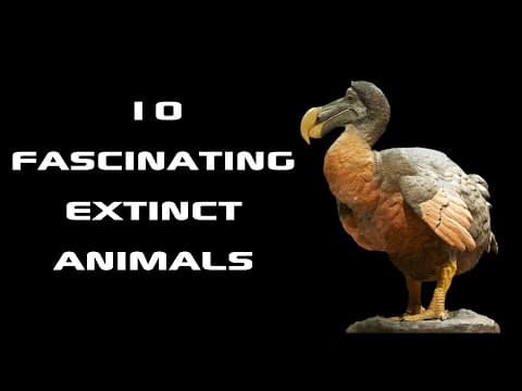 10 fascinating extinct animals creature countdown