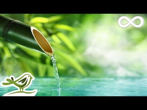 10 Hours of Relaxing Music • Calm Piano Music Sleep Music Water Sounds Meditation Music