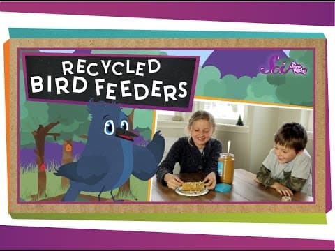 Make Your Own Recycled Bird Feeders - #sciencegoals