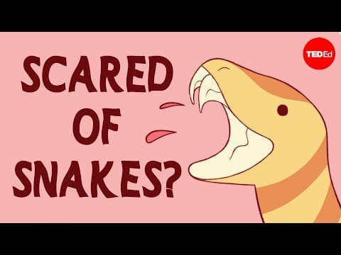 Watch this if you're scared of snakes - Andrew Whitworth