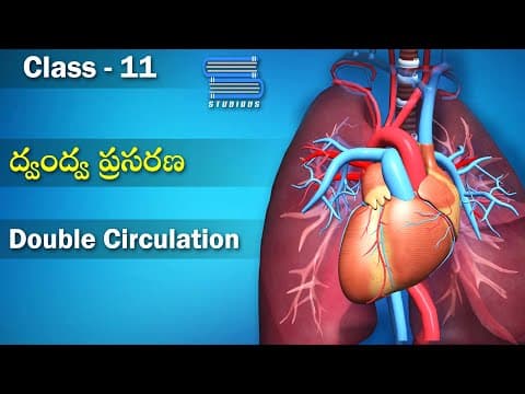 ద్వంద్వ ప్రసరణ - Double Circulation | Blood fluids and Circulation