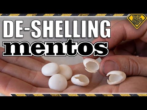 Can You Deep Fry Bubble Gum