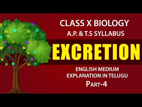 Excretion - 4 | Human excretory system Explanation in telugu