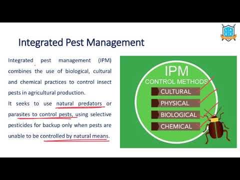 What is Integrated Pest Management (IPM) ? || IPM అంటే ఏమిటి?