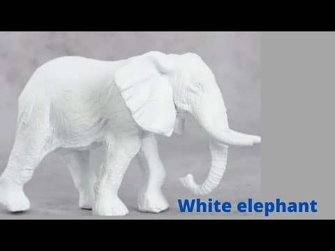 White elephant తెల్ల ఏనుగు నీతి కథ , moral stories for kids, Animal stories