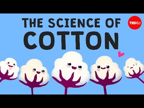 Why is cotton in everything? - Michael R. Stiff - YouTube
