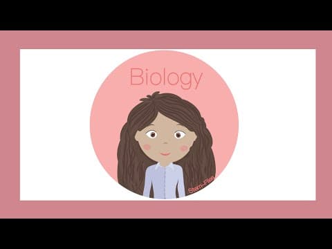 Biology - Summer of STEM - Articulated Hand Puppets - YouTube