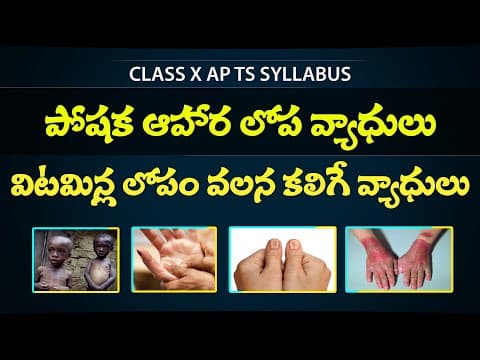 VITAMIN DEFICIENCY DISEASES in telugu - POSHANA in telugu - Class 10th biology - Eduscope 10 science