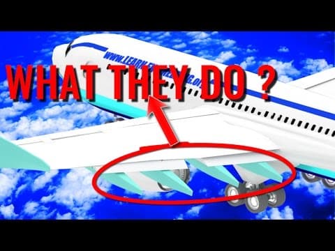 What are beneath the airplane wings