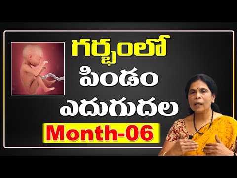 గర్భంలో పిండం ఎదుగుదల - dr rama devi in telugu - month - 06 - baby growth in womb - fetus development