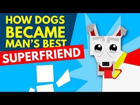 How Did Evolution Create Man's Best Superfriend? - YouTube