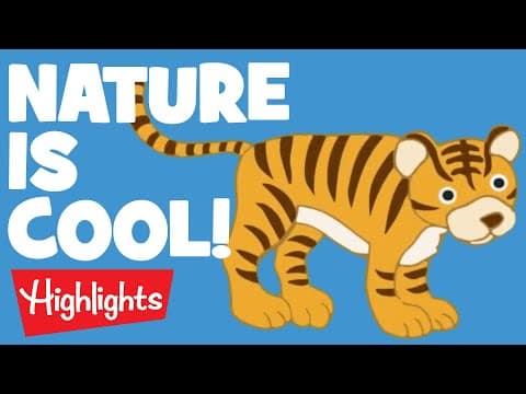 NATURE | Laugh, Learn and Play | 2020 Compilation