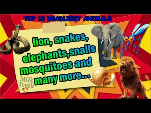 Top 12 Deadliest Animals in the world | Dangerous Animals G.K. Video Animals that cause Human Deaths