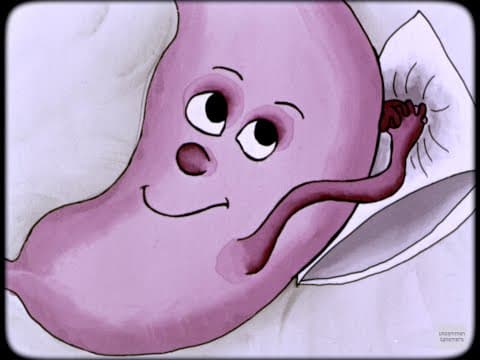 The Stomach, a 1974 sound filmstrip about the digestive system