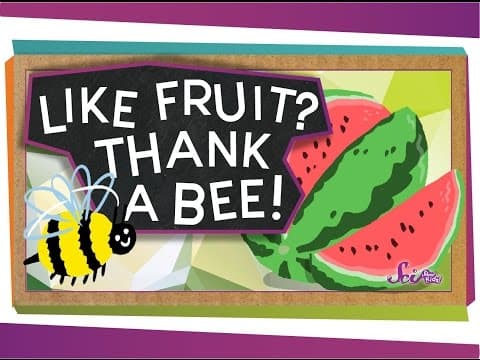 Like Fruit? Thank a Bee!