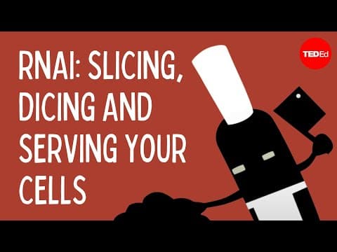 RNAi: Slicing, dicing and serving your cells - Alex Dainis - YouTube