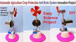 Automatic Agriculture Crop Protection Anti Birds System Project - Innovative Project