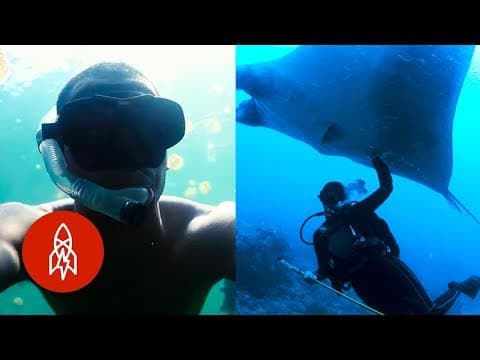 Five stories about swimming