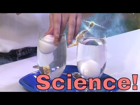 Physics Experiment with Density - Floating Eggs Learn about buoyancy, why things float