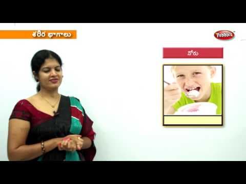 Learn parts of the body for kids