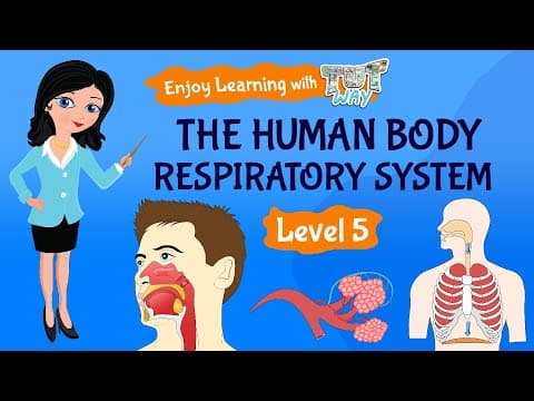 The Human Body: Respiratory System | Science
