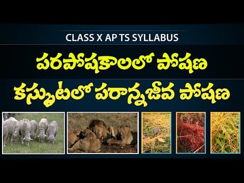 HETROTROPHIC NUTRITION - CASKUTA POSHANA - Class 10th biology in telugu - Eduscope 10th science