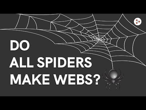 Do all spiders make webs?