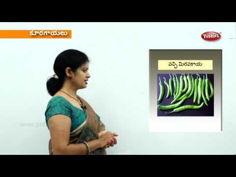 Learn vegetables for kids