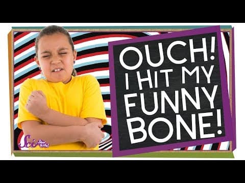 What's Your Funny Bone?