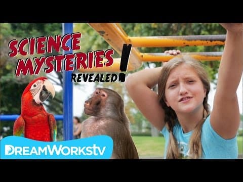 Why Can't We Talk to Animals? | SCIENCE MYSTERIES REVEALED - YouTube