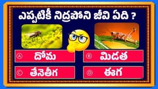 most important gk bits in telugu॥gk important question
