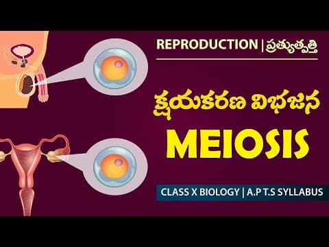 MEIOSIS | Reproduction in Plants in Telugu & English