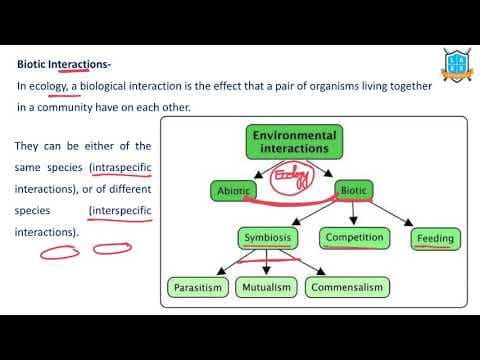 What is Biotic Interaction ? || Biotic Interaction అంటే ఏమిటి?