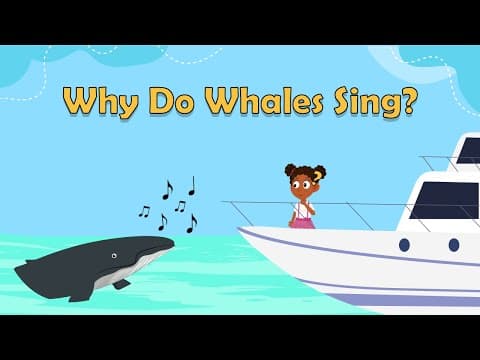 Why Do Whales Sing? - Animal Facts for Kids - Science Facts For Kids - What Is A Whale Song?