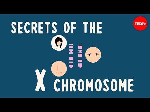 Secrets of the X chromosome - Robin Ball - YouTube