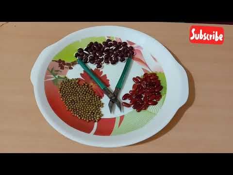 Fun family game # 14