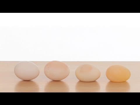 Naked Egg - Sick Science 031