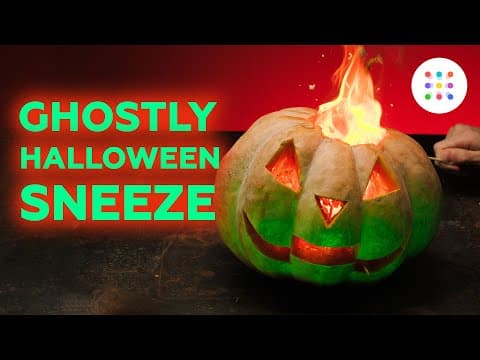 Halloween trick or treat - Halloween decorations