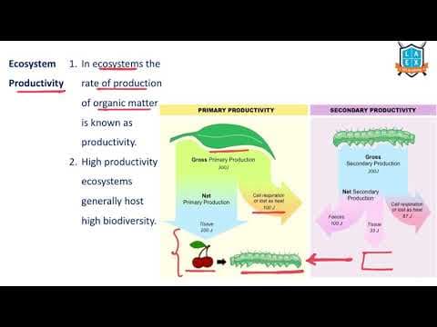 What is Ecosystem Productivity ? || Ecosystem Productivity అంటే ఏమిటి?