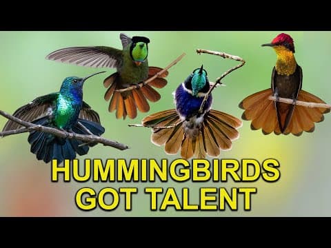 Nature’s Tiny Acrobats Perform Amazing Stretches for You - YouTube