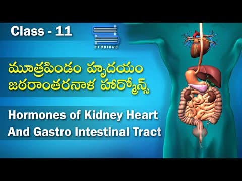 మూత్రపిండం,హృదయం,జఠరాంతరనాళ హార్మోన్స్-Hormones Of Kidney,Heart & Gastro Intestinal Tract