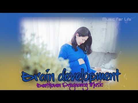 Brain Development | Mozart Classical Music for Babies | Pregnancy Music.