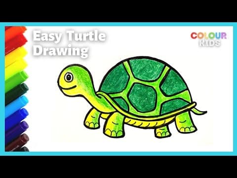 Easy turtle drawing and coloring - step by step simple turtle drawing - how to draw a tortoise