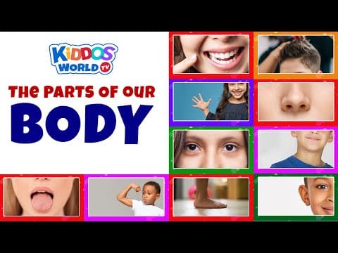 Parts of the human body for learning