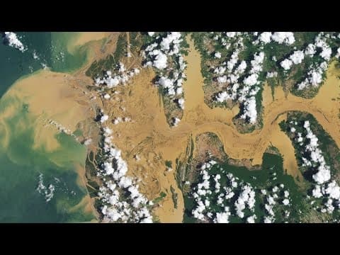 A Celebration of Clouds