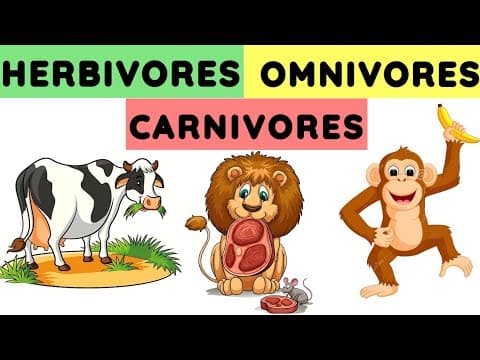 Herbivores carnivores and omnivores | Animals and their food | Eating habits of animals