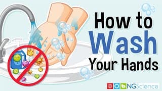 How to Wash Your Hands