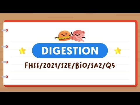 SCIENCE MADE SIMPLE EP16 | Digestion | Functions Of Human Digestive Organs